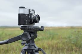 Business Internships